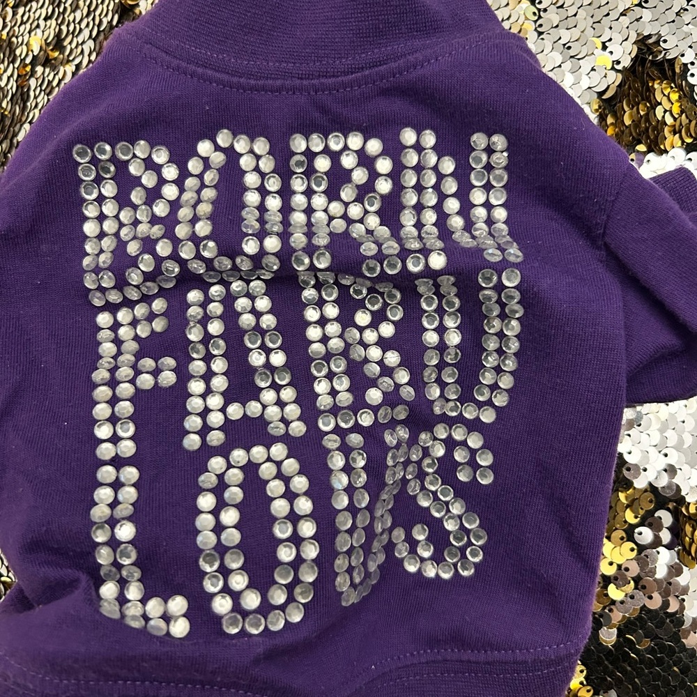 Purple Studded Dog Sweater